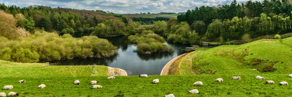 farm reservoir