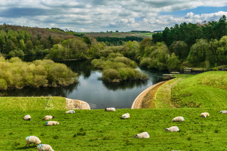 farm reservoir