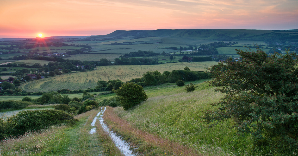 Local Nature Recovery Strategies: A Guide for Landowners