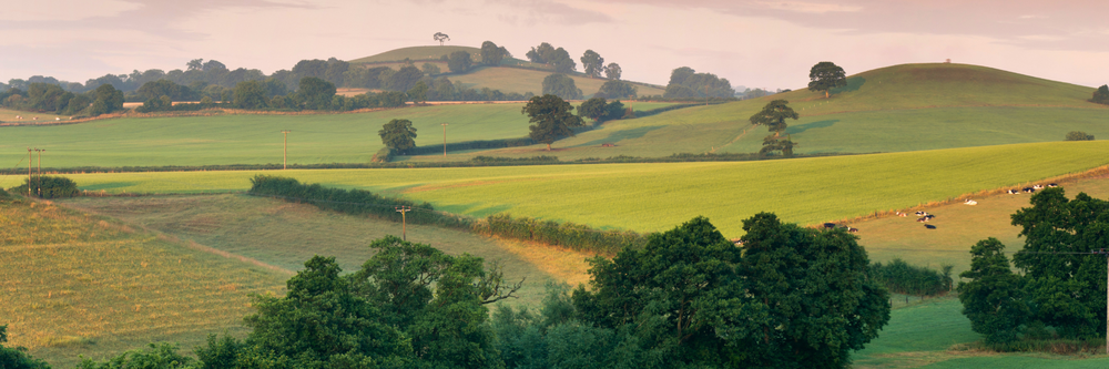 landscape fields