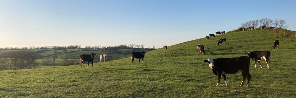 muxlow - Hannah Connors family farm