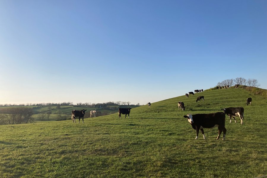muxlow - Hannah Connors family farm