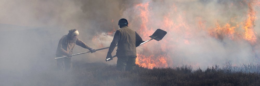 wild fire