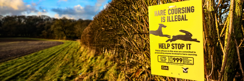 rural crime hub images - Hare coursing and poaching
