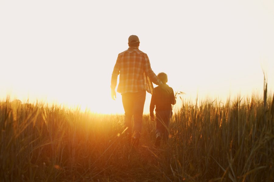 succession planning - family farm