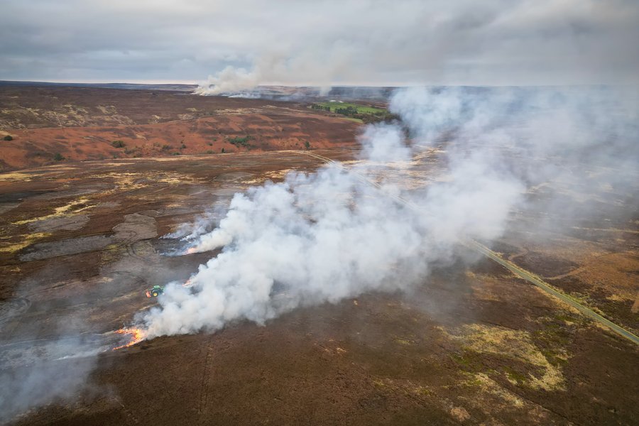 peat fire heather upland