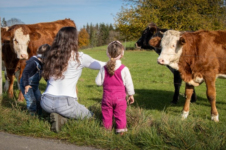 Succession Insurance -family - farm