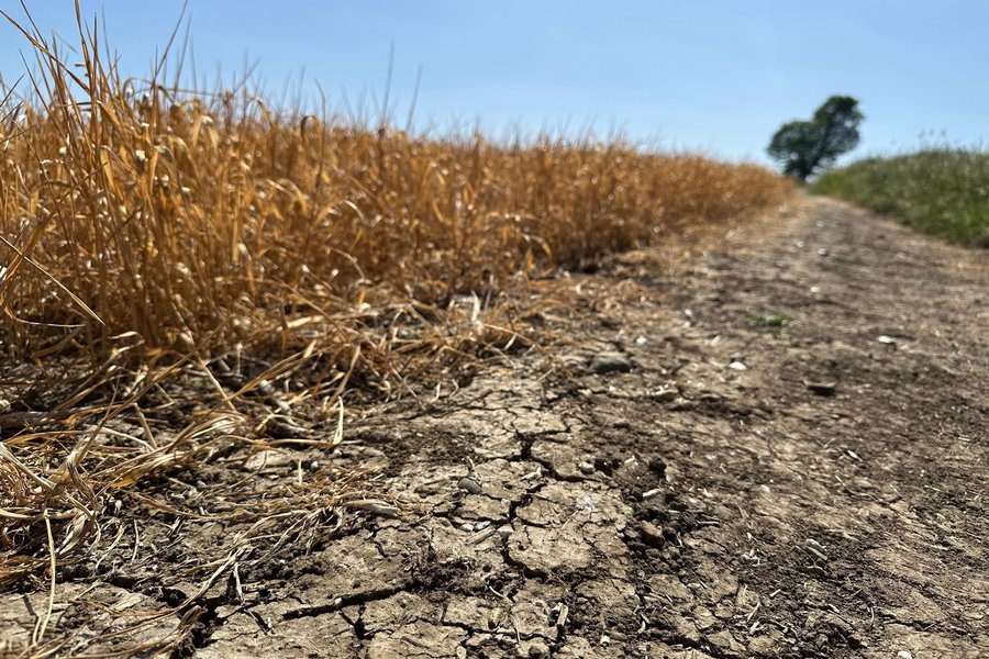 drought dry farmland