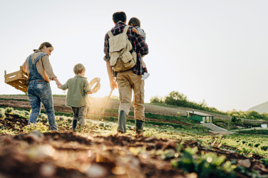 succession planning hub images