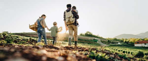 succession planning hub images