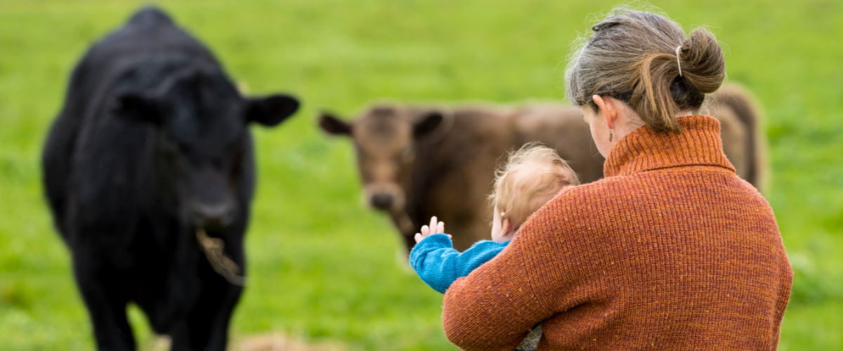 succession planning hub images (1)