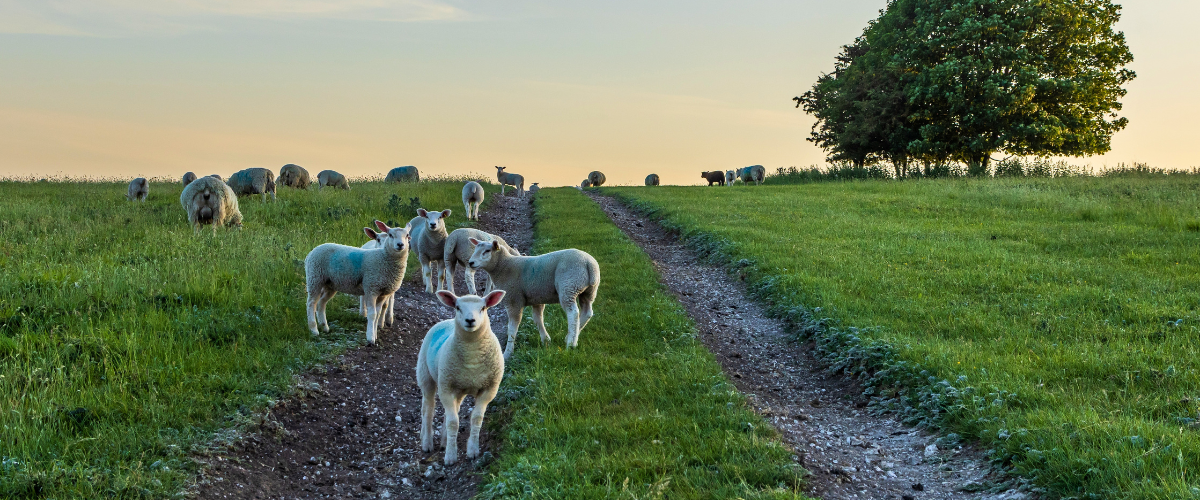 succession planning hub images (3)