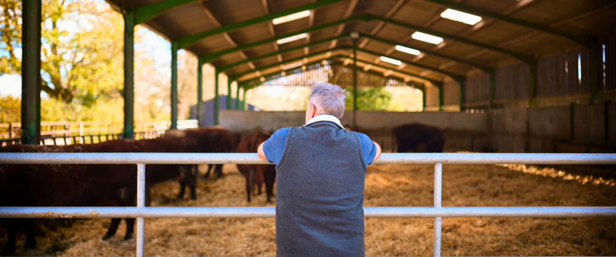 succession planning hub images