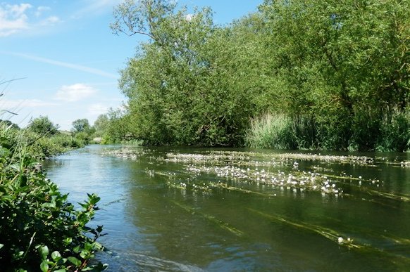 w660_1482834_hampshire-avon