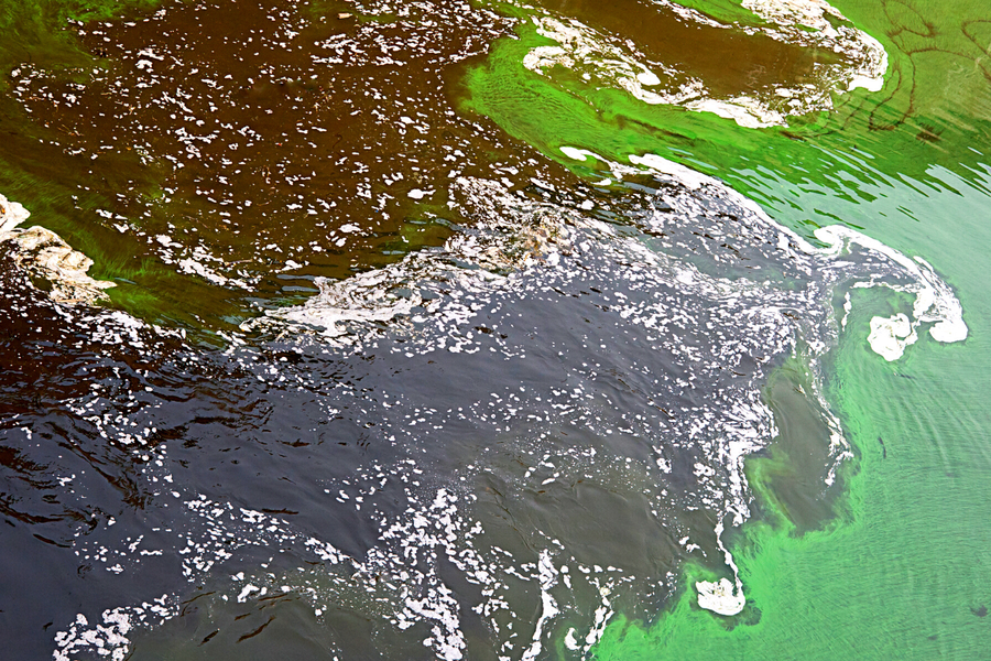 water pollution