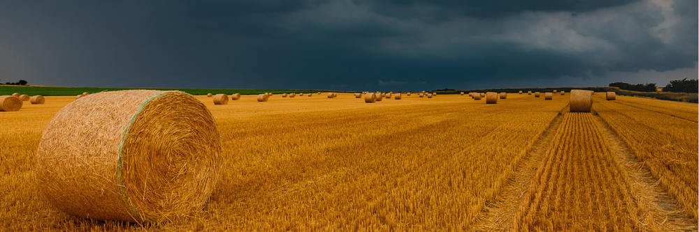 farm harvest hay