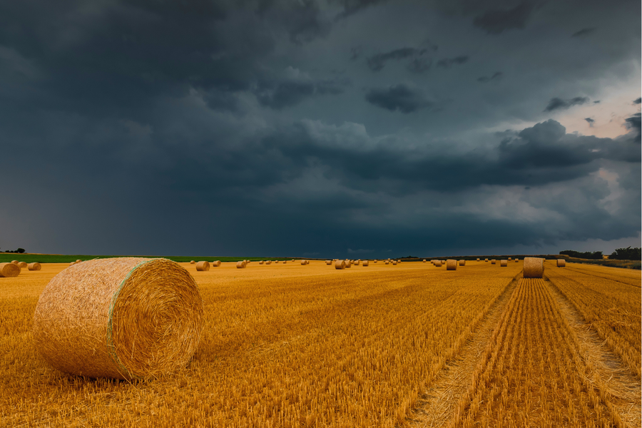 farm harvest hay