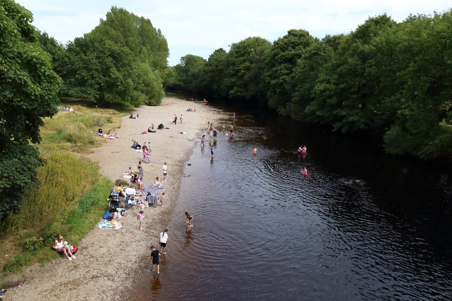 wild swimming